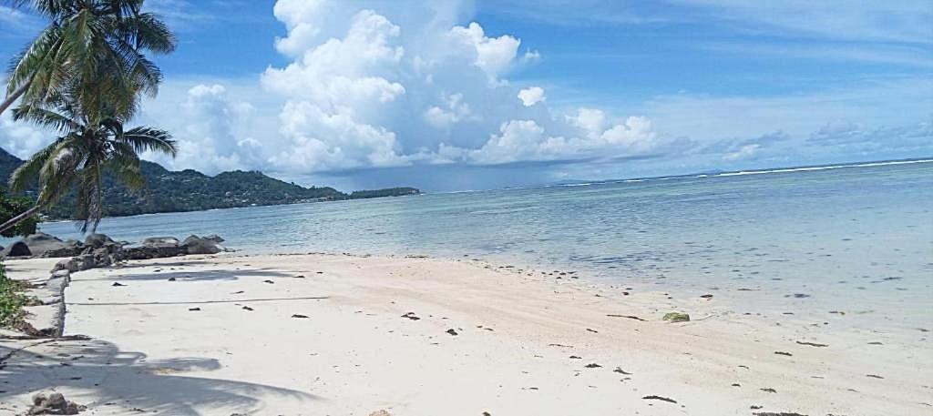 L'Echappee Du Cap Apartment Pointe Au Sel ภายนอก รูปภาพ